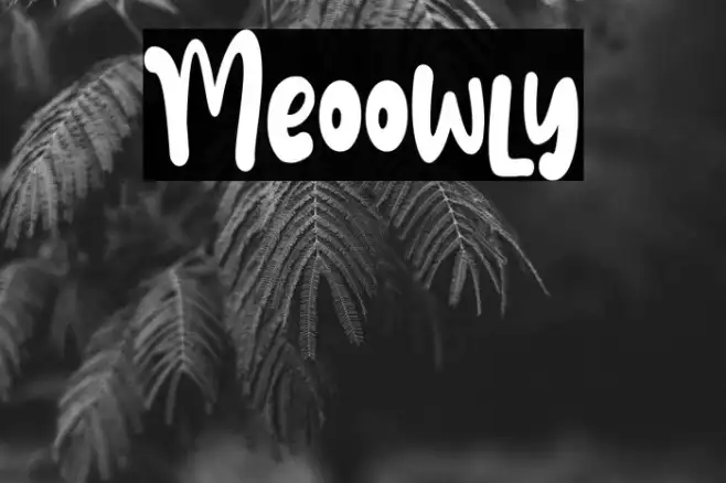 Meoowly Example 1