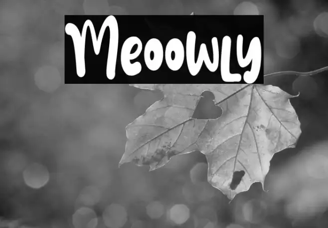 Meoowly Example 2