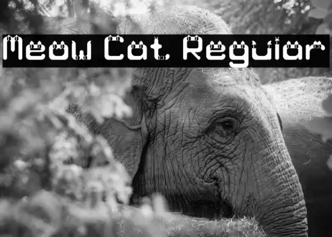 Meow Cat Regular Font examples