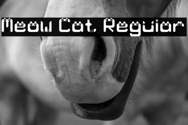 Meow Cat Regular Font examples