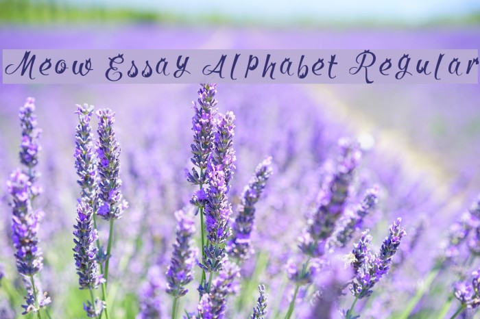 Meow Essay Alphabet Regular Font examples