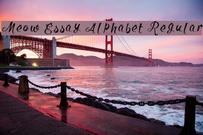Meow Essay Alphabet Regular Font examples
