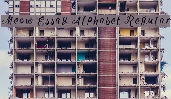 Meow Essay Alphabet Regular Font examples