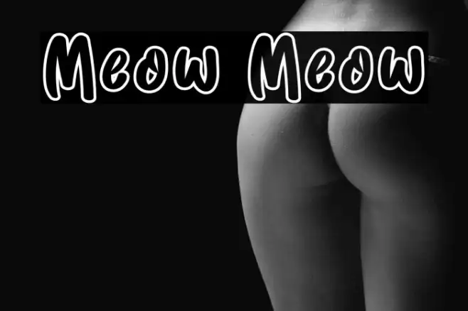 Meow Meow Example 3