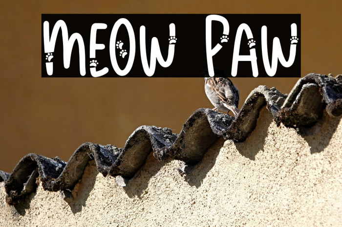Meow Paw Example 1