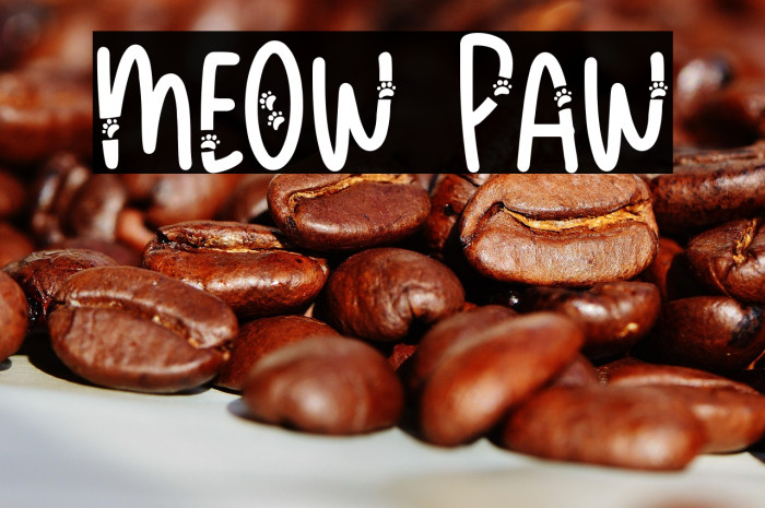 Meow Paw Example 3