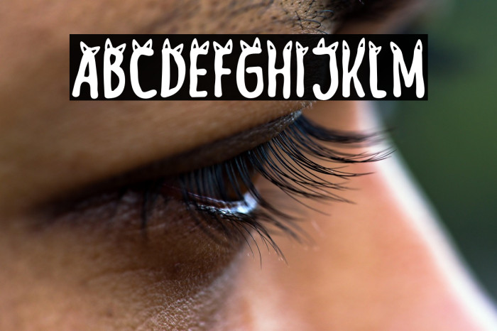 Meow Zilla Cat 3 Example 1