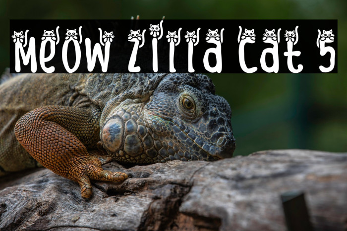 Meow Zilla Cat 5 Example 1