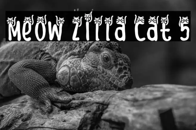 Meow Zilla Cat 5 Example 1