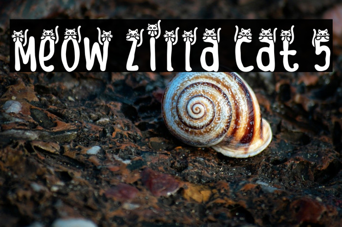 Meow Zilla Cat 5 Example 2