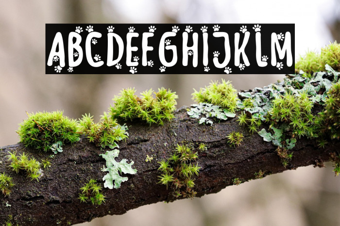 Meow Zilla Paw 2 Example 3