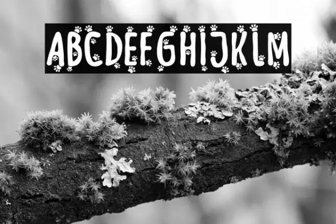 Meow Zilla Paw 2 Caratteri examples