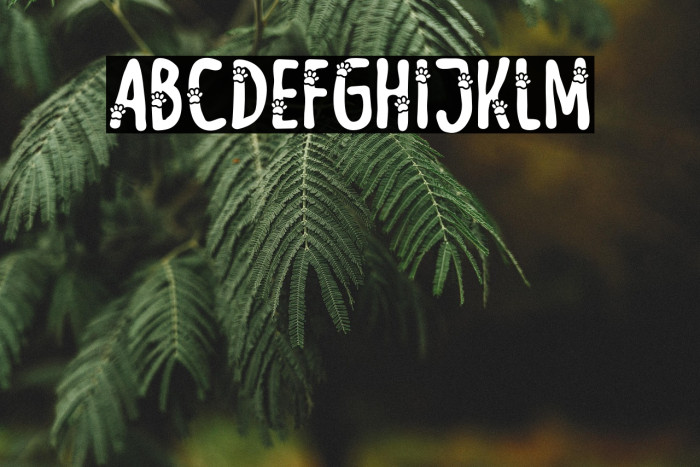 Meow Zilla Paw Example 2