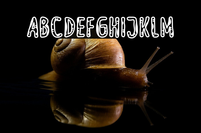 Meow Zilla Spot Example 2