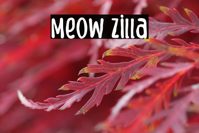 Meow Zilla Example 2