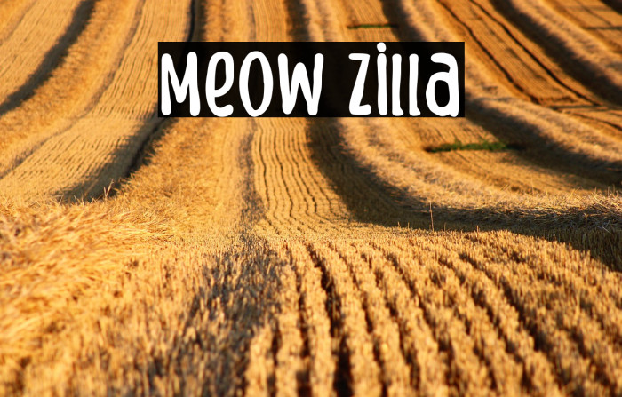 Meow Zilla Example 3