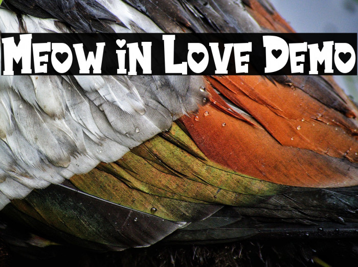 Meow in Love Demo Example 1