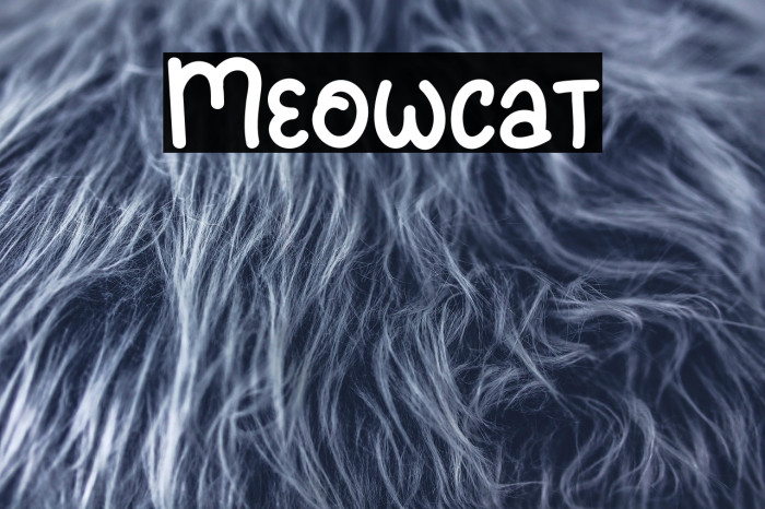 Meowcat Example 1