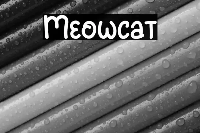 Meowcat Font examples