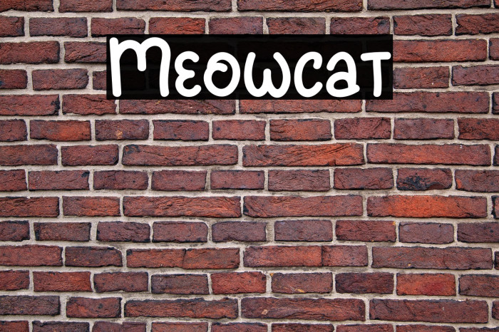 Meowcat Example 3