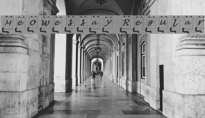 Meowessay Regular Font examples