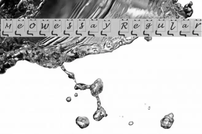 Meowessay Regular Font examples