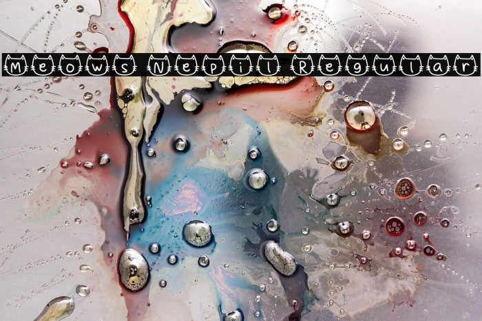 Meows Nepil Regular Example 2