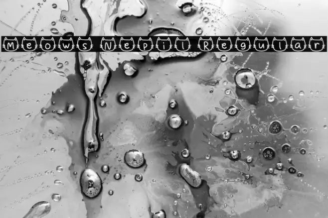 Meows Nepil Regular خط examples