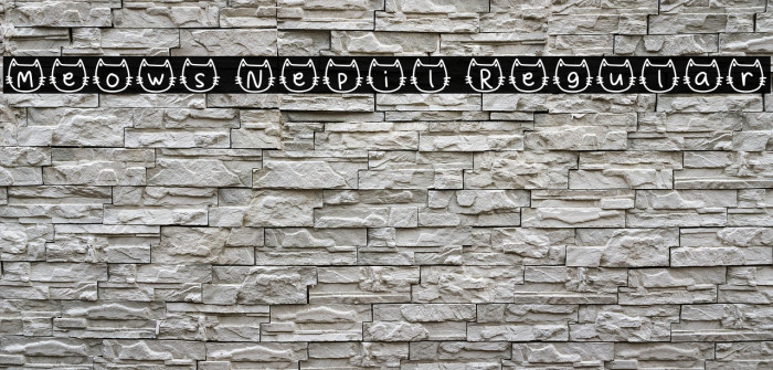 Meows Nepil Regular Example 3