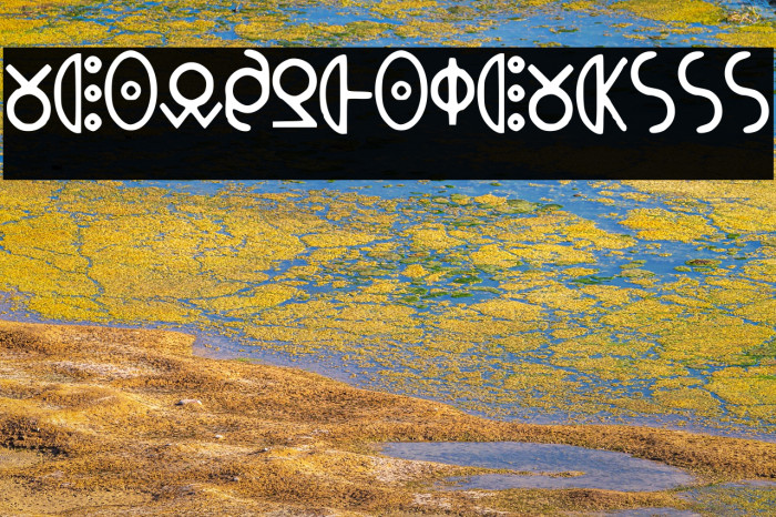 MeowsPhone_MkIII Example 1