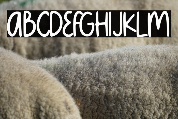 Meowtalk Alternate Demo Example 2