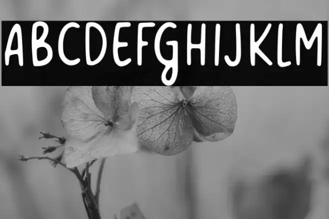 Meowtalk Font examples