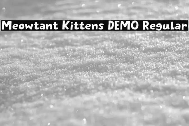Meowtant Kittens DEMO Regular Schriftart examples