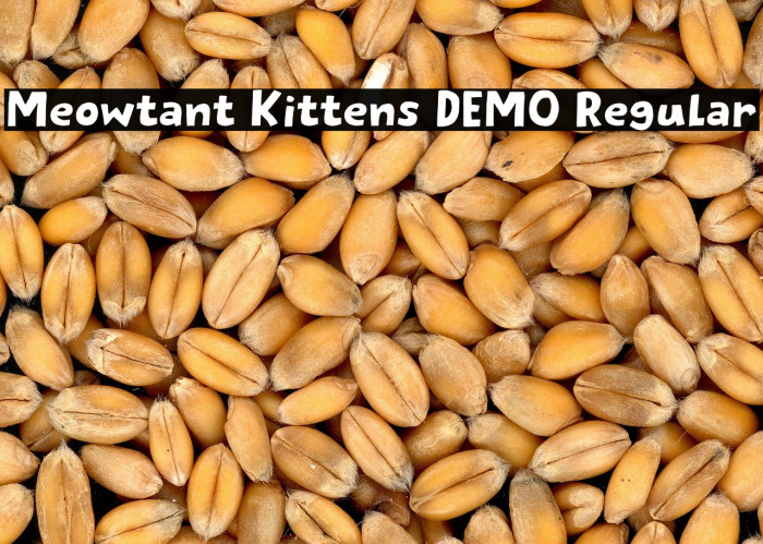 Meowtant Kittens DEMO Regular Example 3