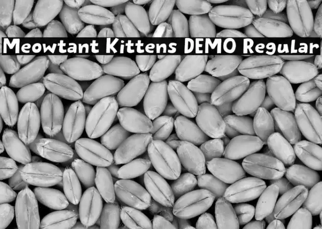 Meowtant Kittens DEMO Regular Schriftart examples