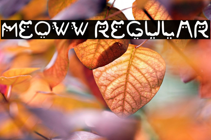 Meoww Regular Example 1