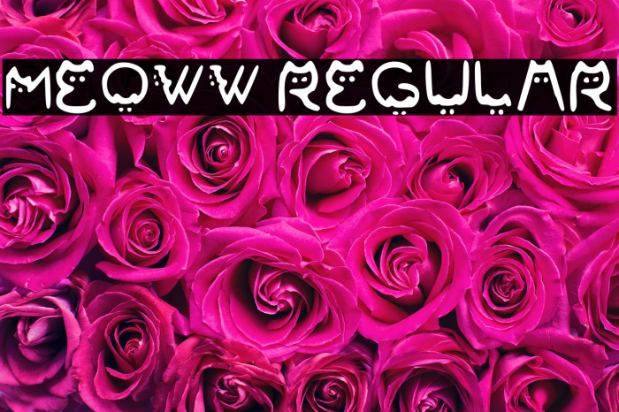 Meoww Regular Example 2