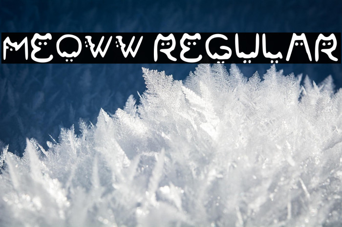 Meoww Regular Example 3