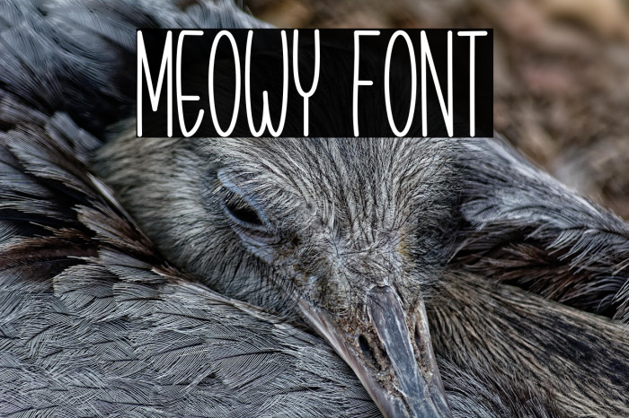 Meowy Example 1