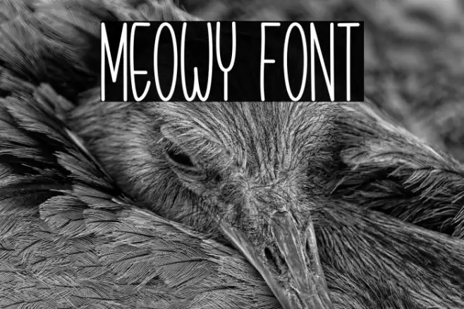 Meowy Example 1