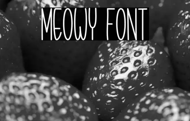 Meowy Example 2