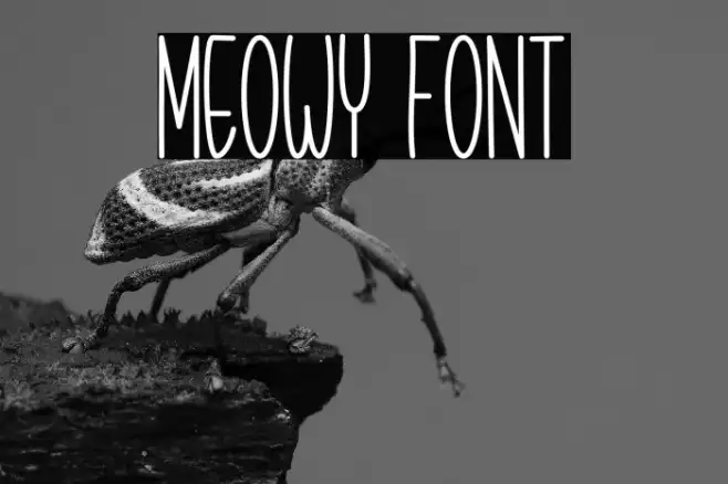 Meowy Example 3