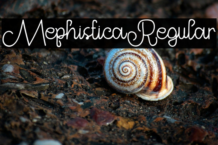 MephisticaRegular Example 3