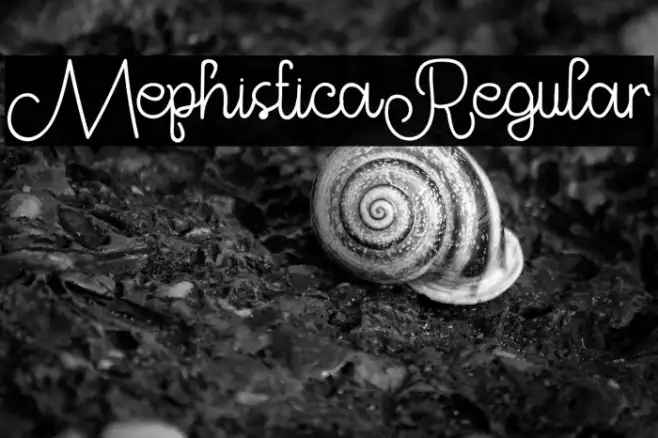 MephisticaRegular Example 3