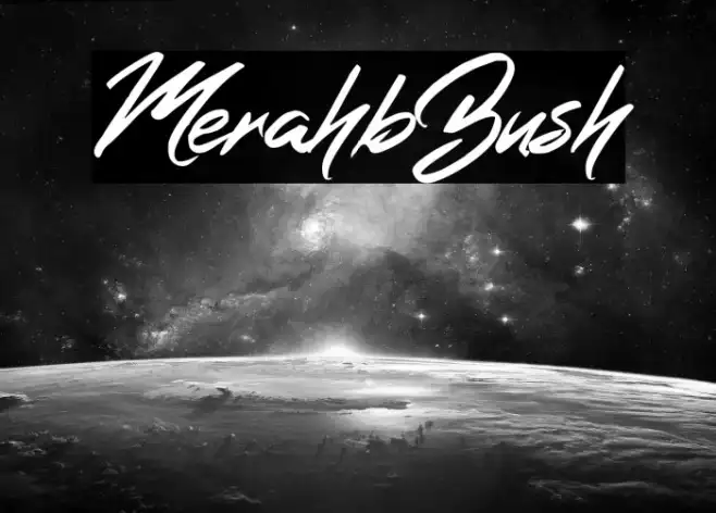 MerahbBush Example 1