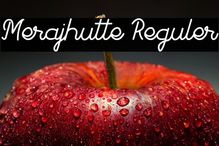 Merajhutte Reguler Example 1