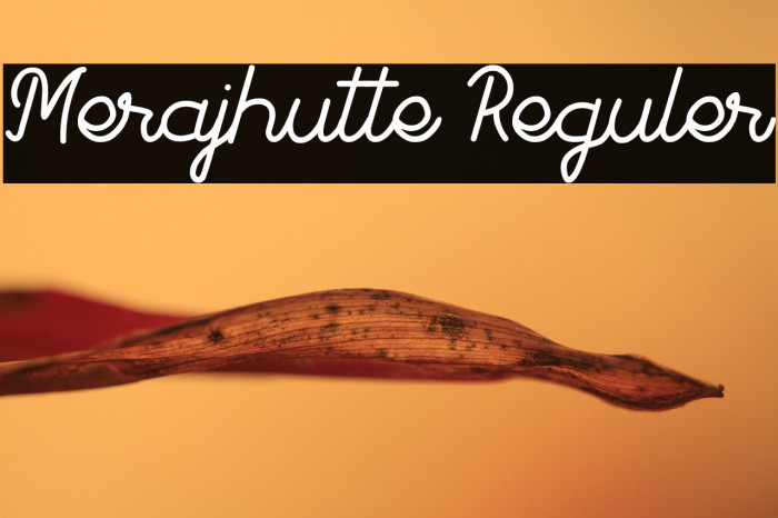 Merajhutte Reguler Example 2
