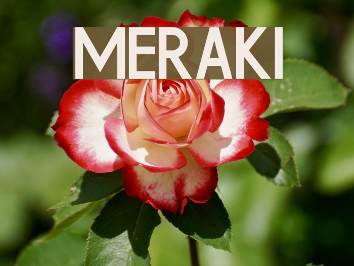 Meraki Font examples