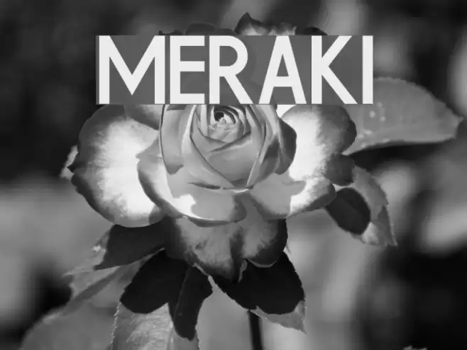 Meraki Шрифта examples