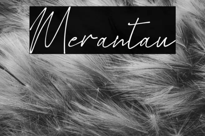 Merantau Example 2